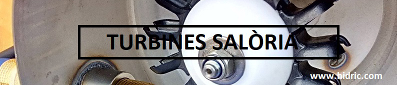 Saloria_Hidric_portada794_198_2024_cat